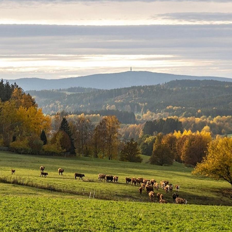Ferienwohnungen Fichtelgruen Вунзідель Екстер'єр фото